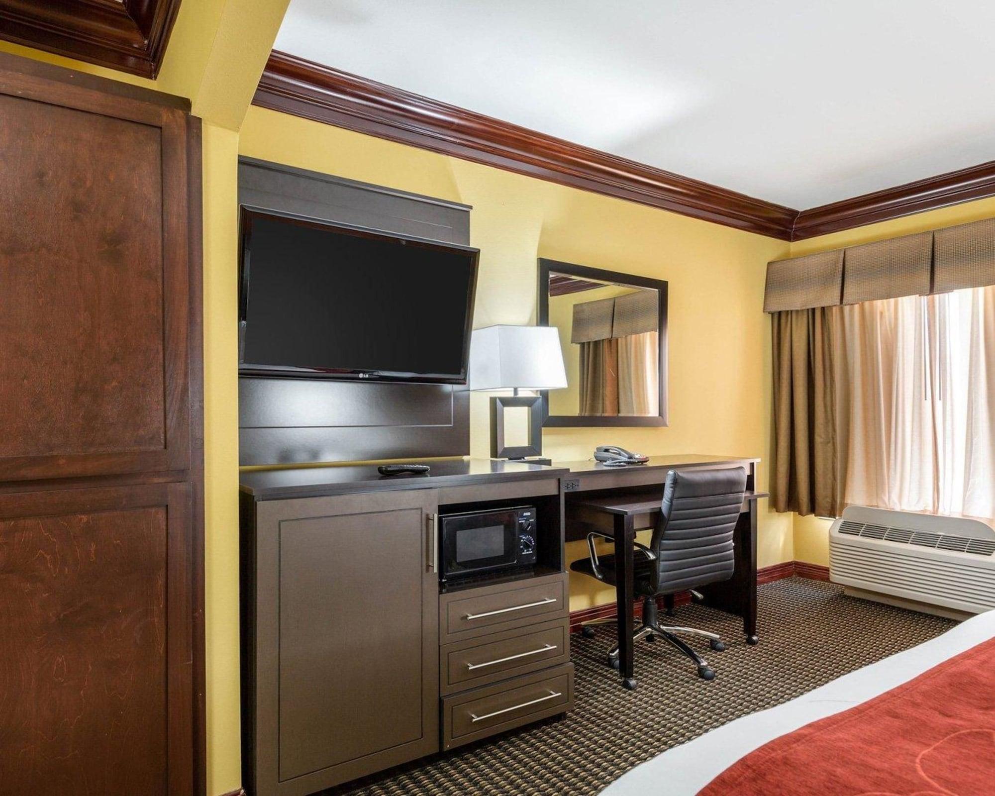 Comfort Clute